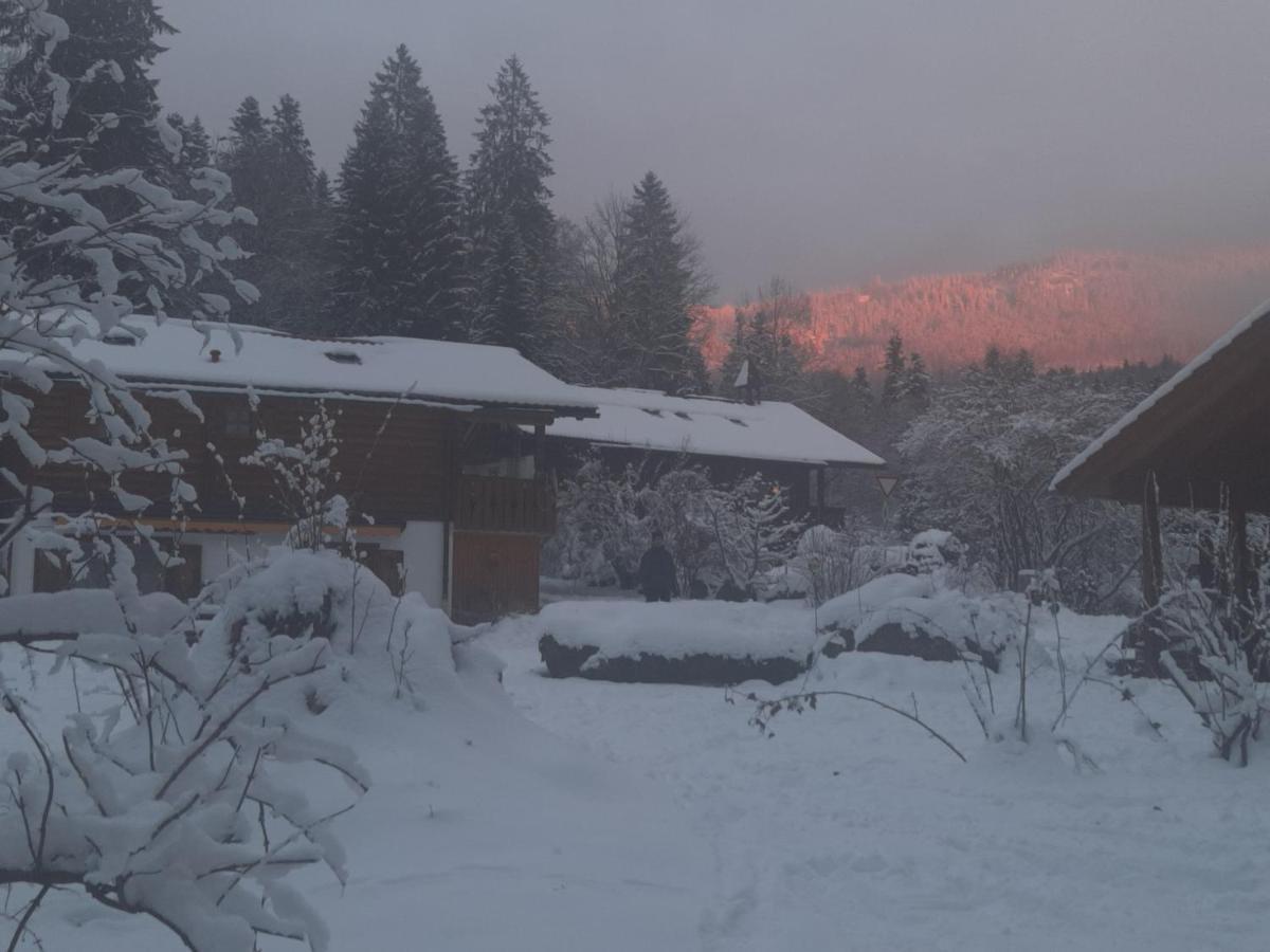 Huettenzauber Ferienwohnung Mitten Im Nationalpark Lindberg Bagian luar foto