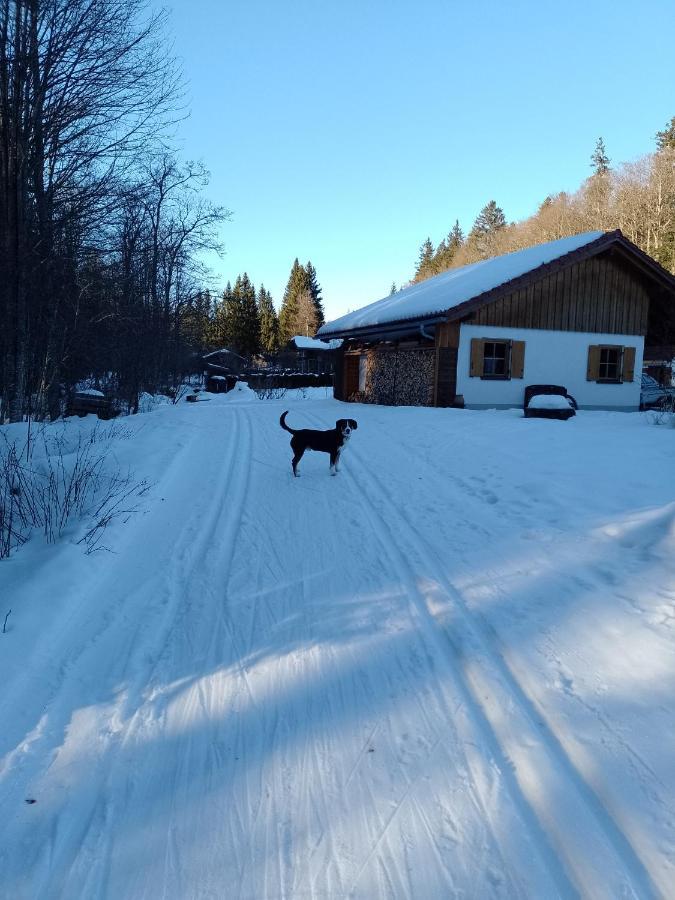 Huettenzauber Ferienwohnung Mitten Im Nationalpark Lindberg Bagian luar foto