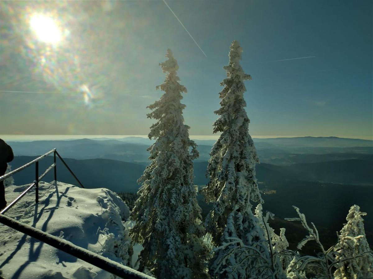 Huettenzauber Ferienwohnung Mitten Im Nationalpark Lindberg Bagian luar foto