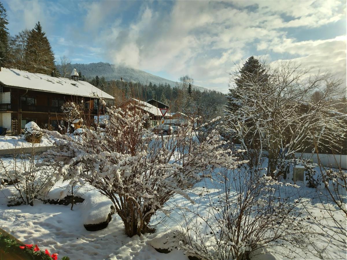Huettenzauber Ferienwohnung Mitten Im Nationalpark Lindberg Bagian luar foto